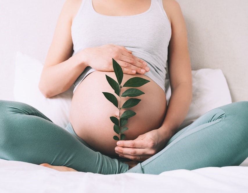 Assistance Médicale à la Procréation avec le Dr Fabien Krief à Paris